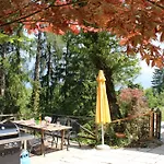 Panoramic Forest And Castle View * Bled