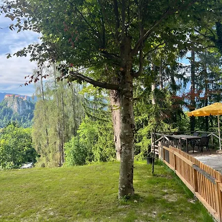 Panoramic Forest And Castle View * Bled
