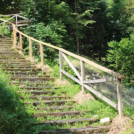 Chalet Panoramic Forest And Castle View