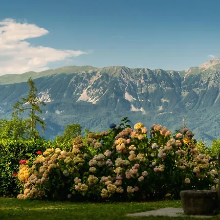 Panoramic Forest And Castle View *