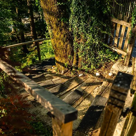 Panoramic Forest And Castle View * Bled