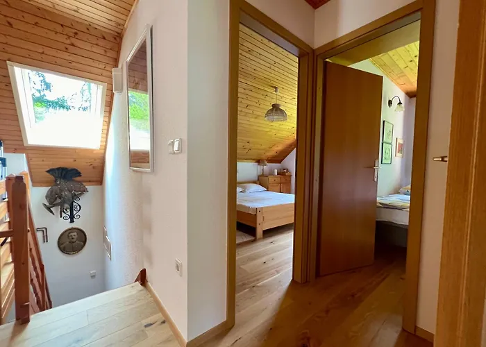 Chalet Panoramic Forest And Castle View